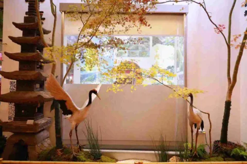 华邦展讯 | 上海禅意生活博览会圆满落幕